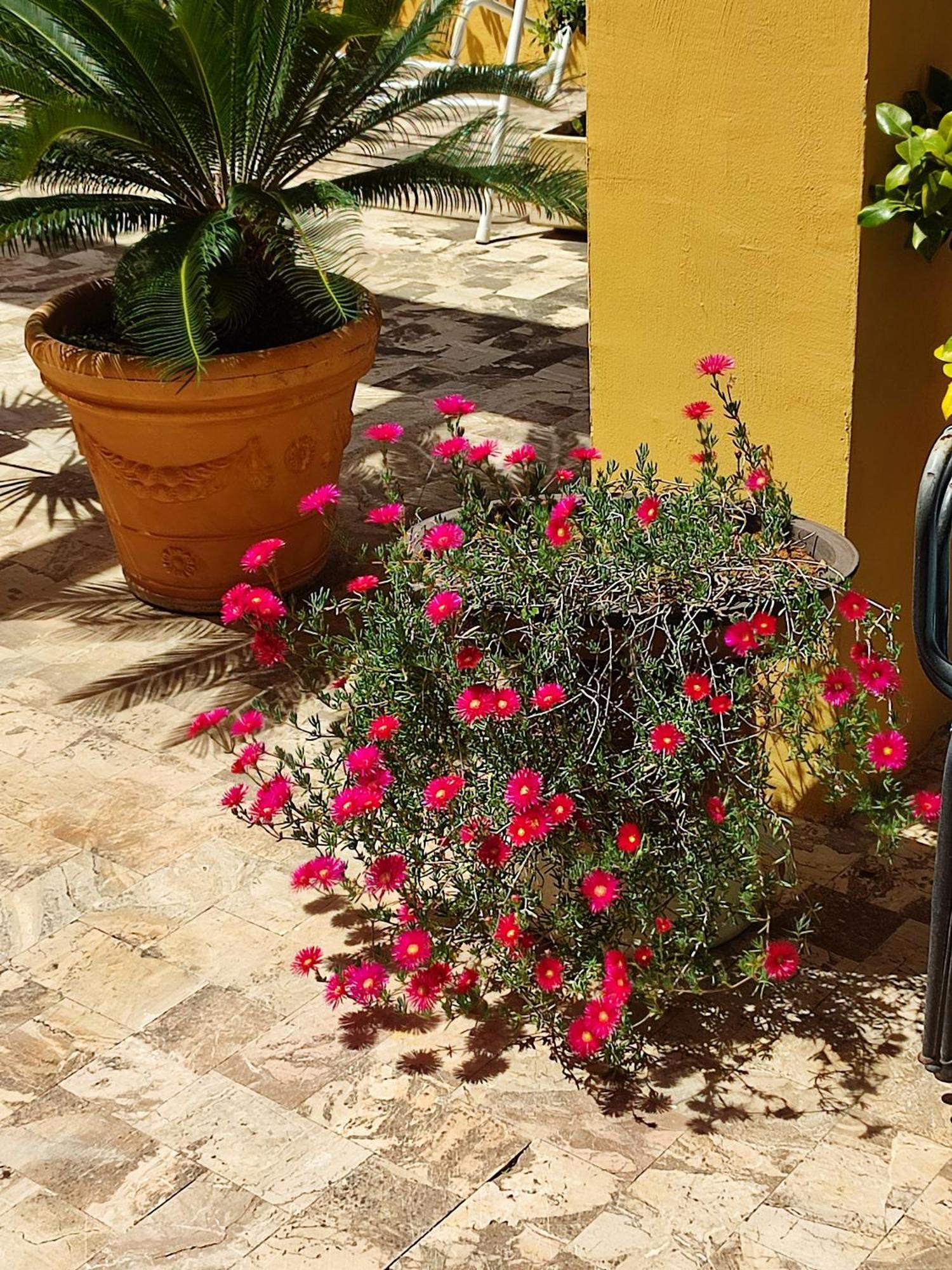 B&B Sant'Eufemia Lamezia Terme Exterior photo